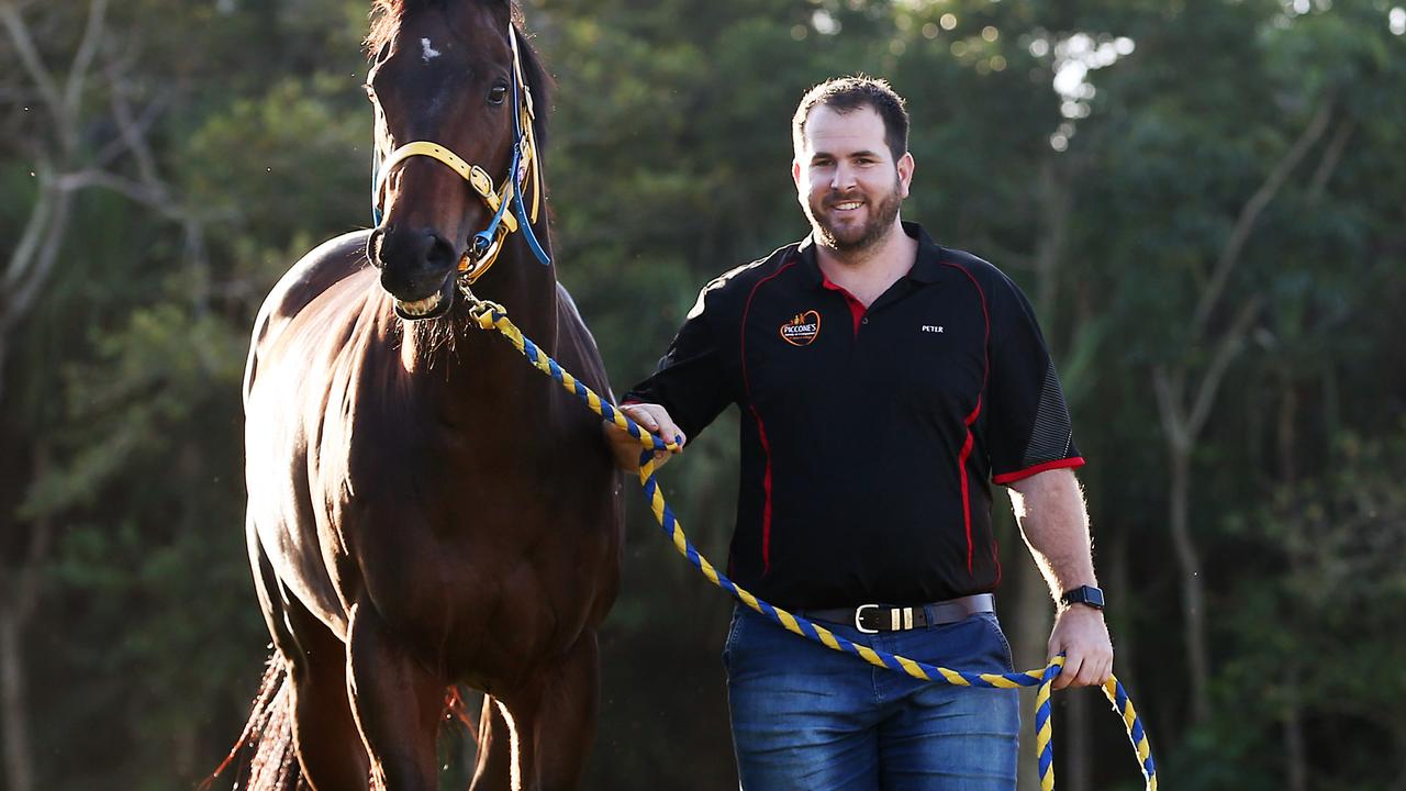When a racehorse has been off the scene for over a year, it pays to