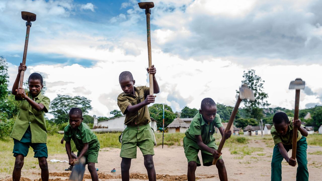 Land returned to white Zimbabwean farmer