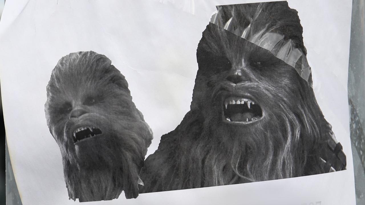 Cairns woman’s exboyfriend puts up Chewbacca Roar Contest posters with