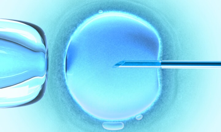 Real cost of IVF fertility treatments Kidspot