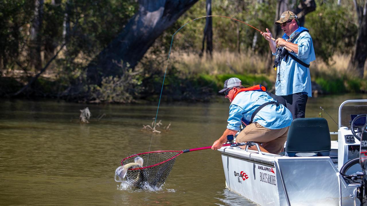 Lure fishing for Murray cod in Lake Mulwala and the Everglades is an