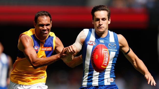 Tassie Roo Mitch Hibberd says the sky is the limit for North Melbourne