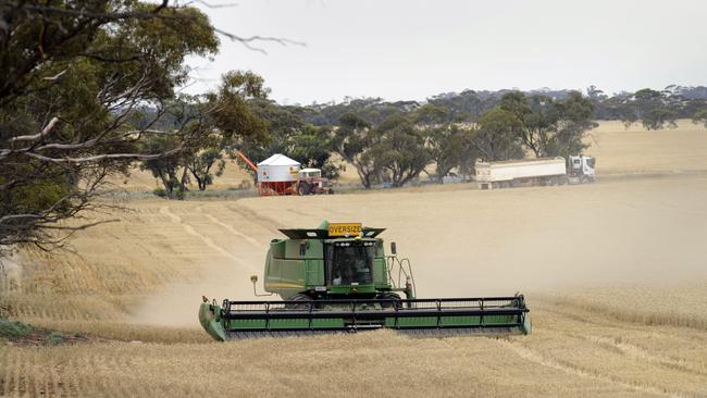 Harvesting in Victoria kicks off as grain pours in around Australia