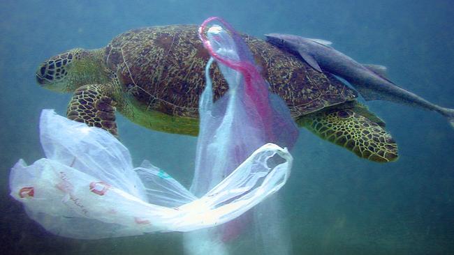 Opinion Plastic bag ban not the best way to change consumer behaviour