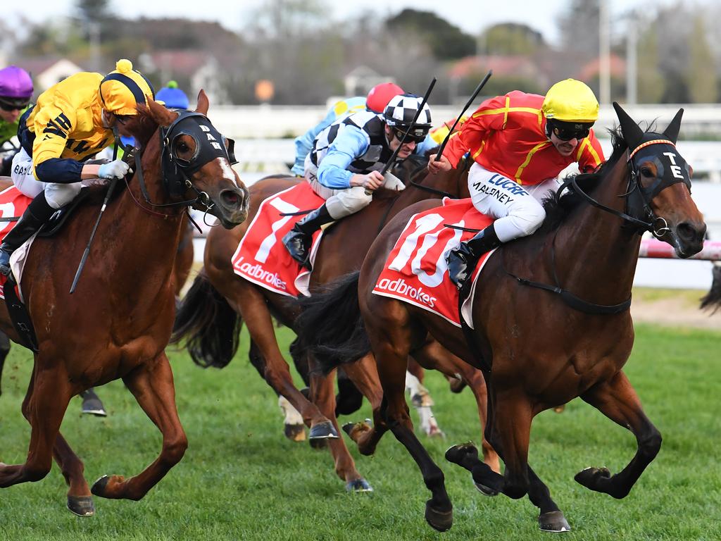 Derby Fest, Sports Drive, Gold Coast (2023) findglocal.com