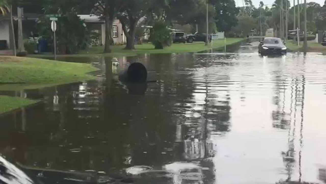 Flash Flooding Hits St Petersburg, Florida, as Hurricane Michael