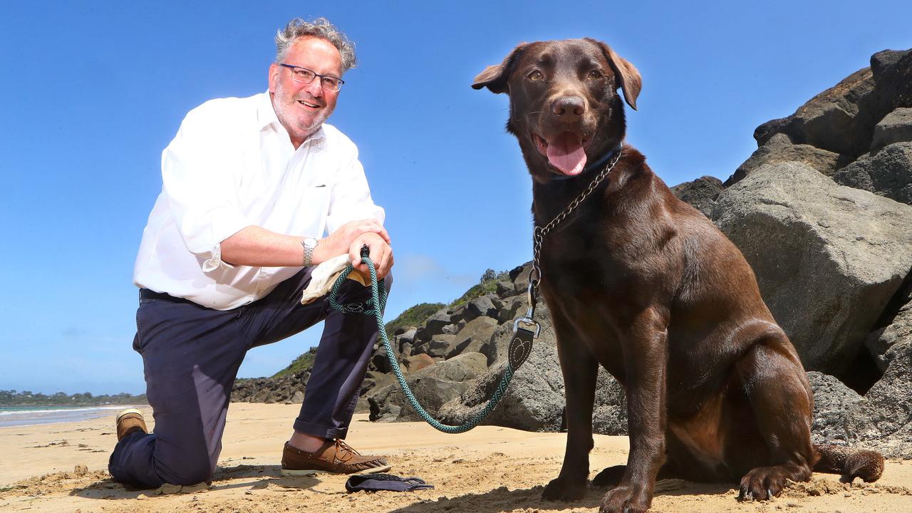 Queenscliff council steps up patrols on unleashed dogs with fines