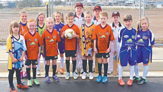 Council urged to consider synthetic fields as sporting clubs weigh pros