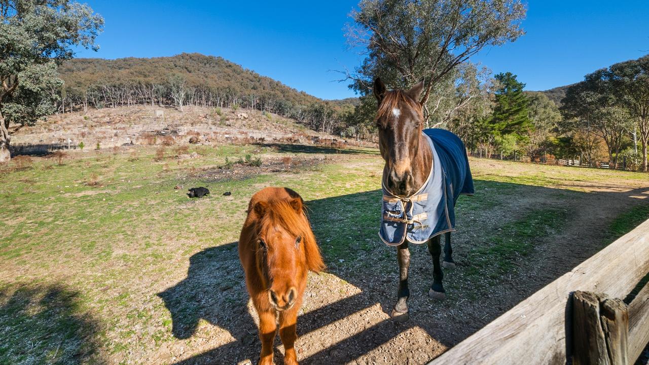 Lifestyle, grazing property for sale Mt Joy Park at Tatong The