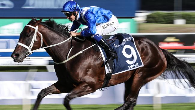 Winx to return in race named in her honour at Royal Randwick Daily Telegraph