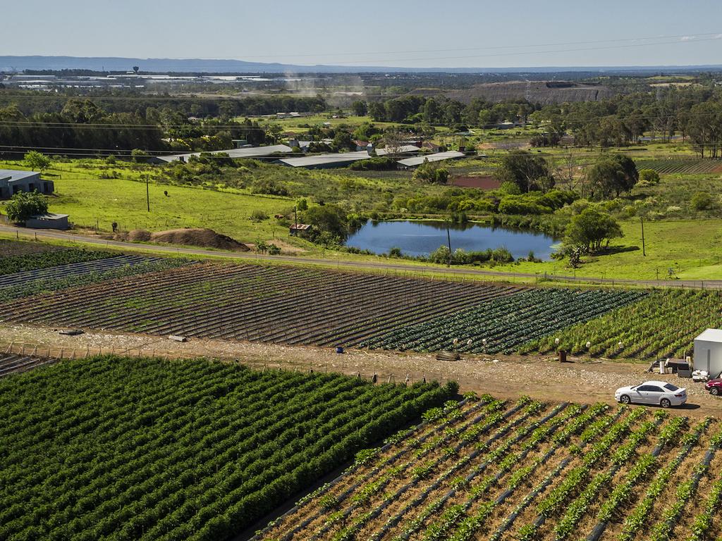 Western Sydney Parklands Space for 100ha of urban farms News Local
