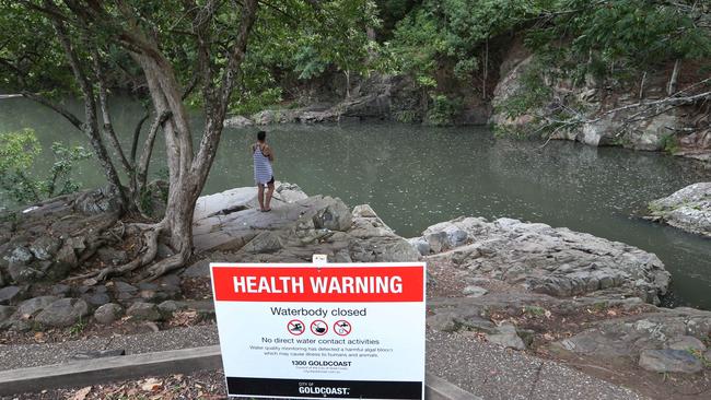 Warnings signs removed after council declares it safe to return to the Currumbin Rock Pools