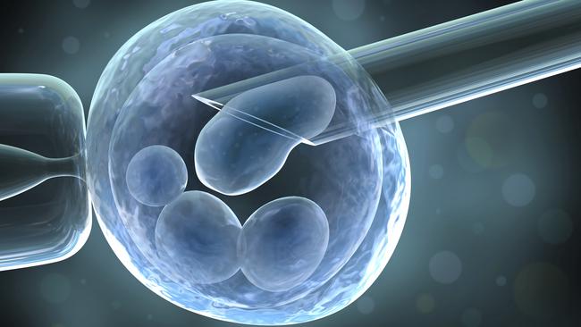 Monash IVF fertility clinic cuts eggs freezing cost due to increased