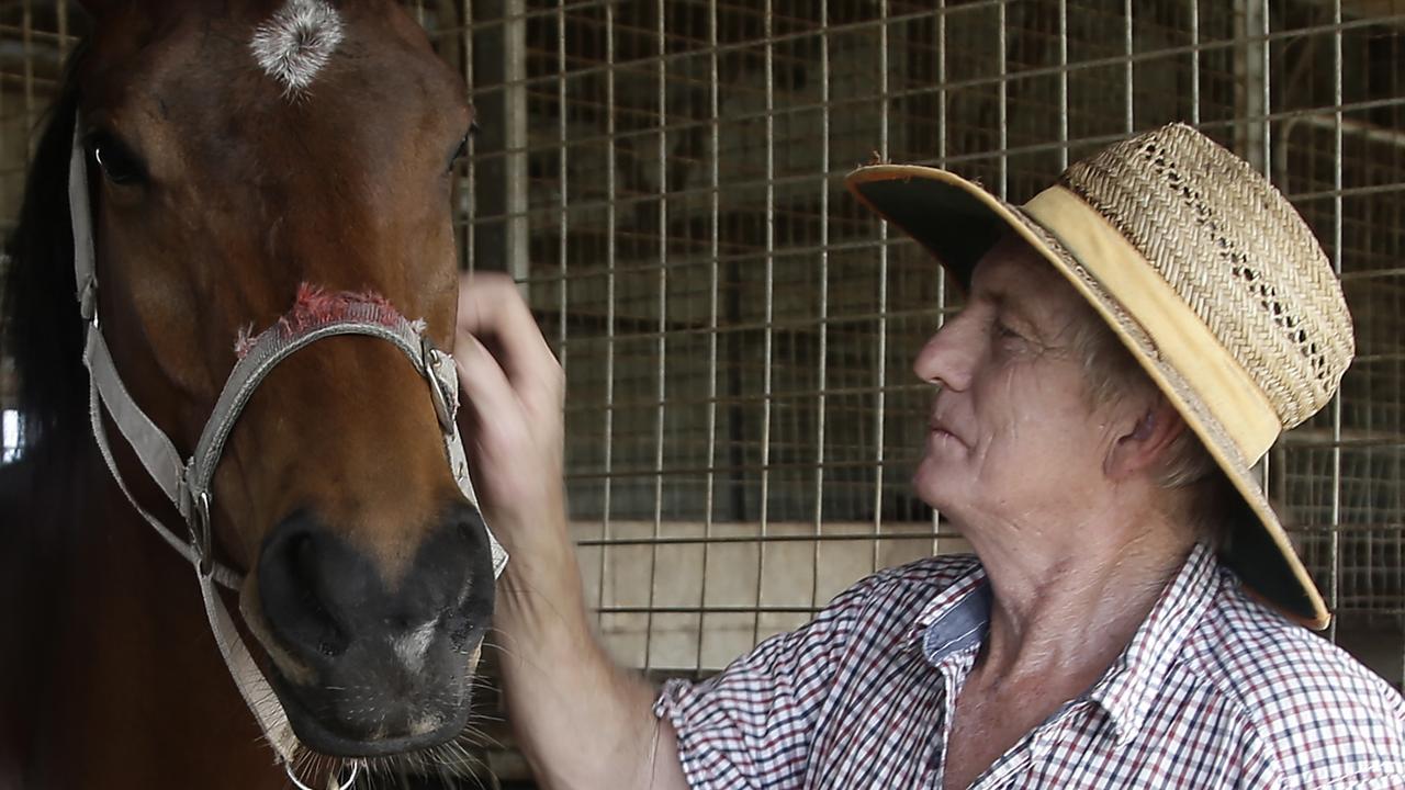 Longtime owners of an Innisfail horse trainer doubt he will return to
