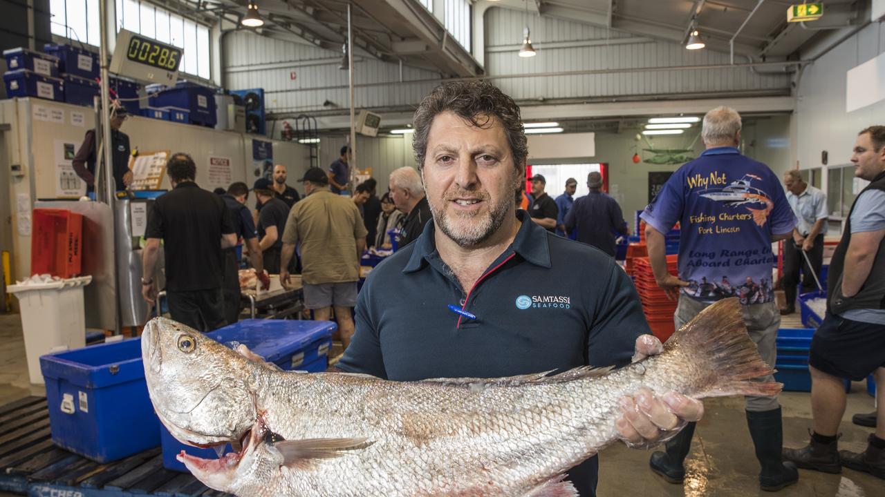 Day in the Life Adelaide fish markets Adelaide Now