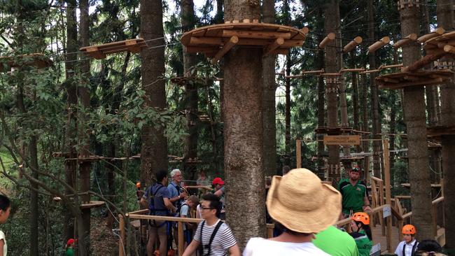 Zip into forest adventure News Local