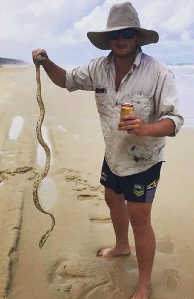 Farmer’s casual encounter with deadly sea snake