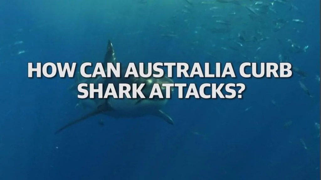 Beach with the most shark attacks The 6 deadliest tourist attractions