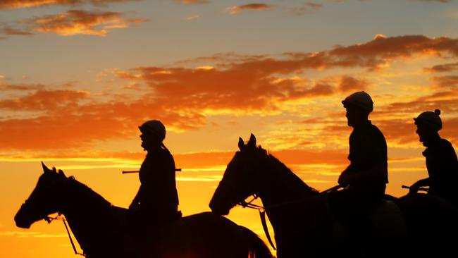 Trackwork rider Riharna Thomson death; Canberra’s Thoroughbred Park