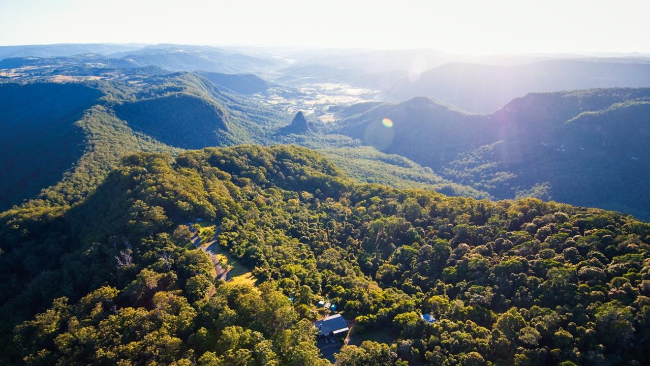 Binna Burra Backyard Tourist visits Lower Bellbird Circuit on the Gold