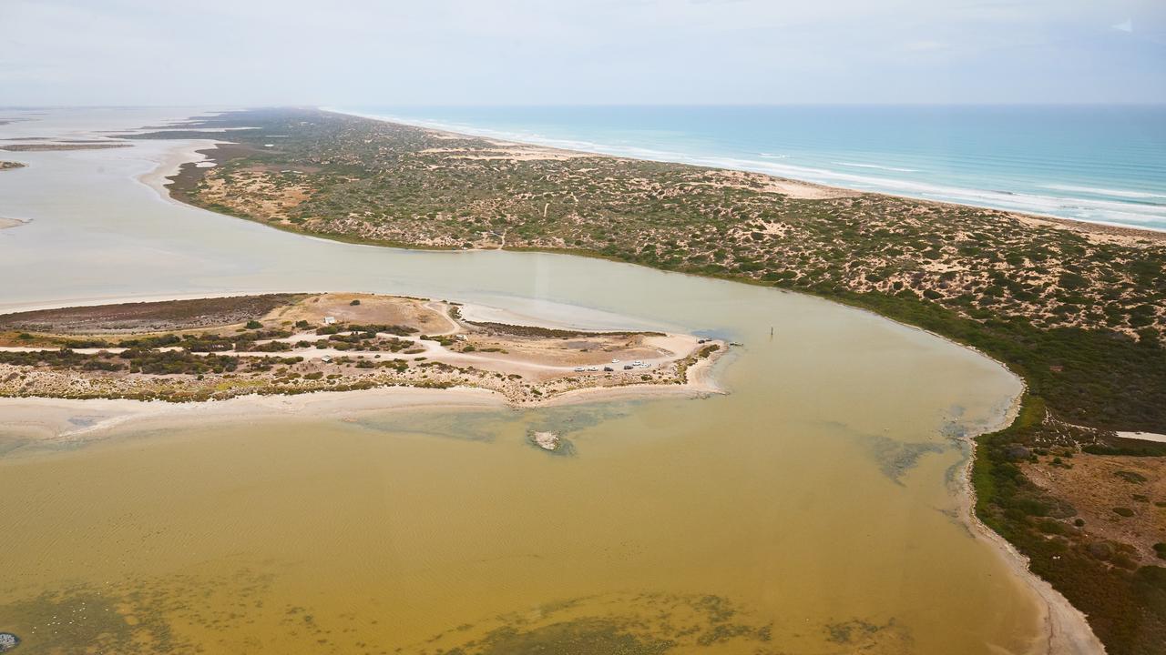 River Murray Coorong Lagoon ‘doing it tough’ Adelaide Now