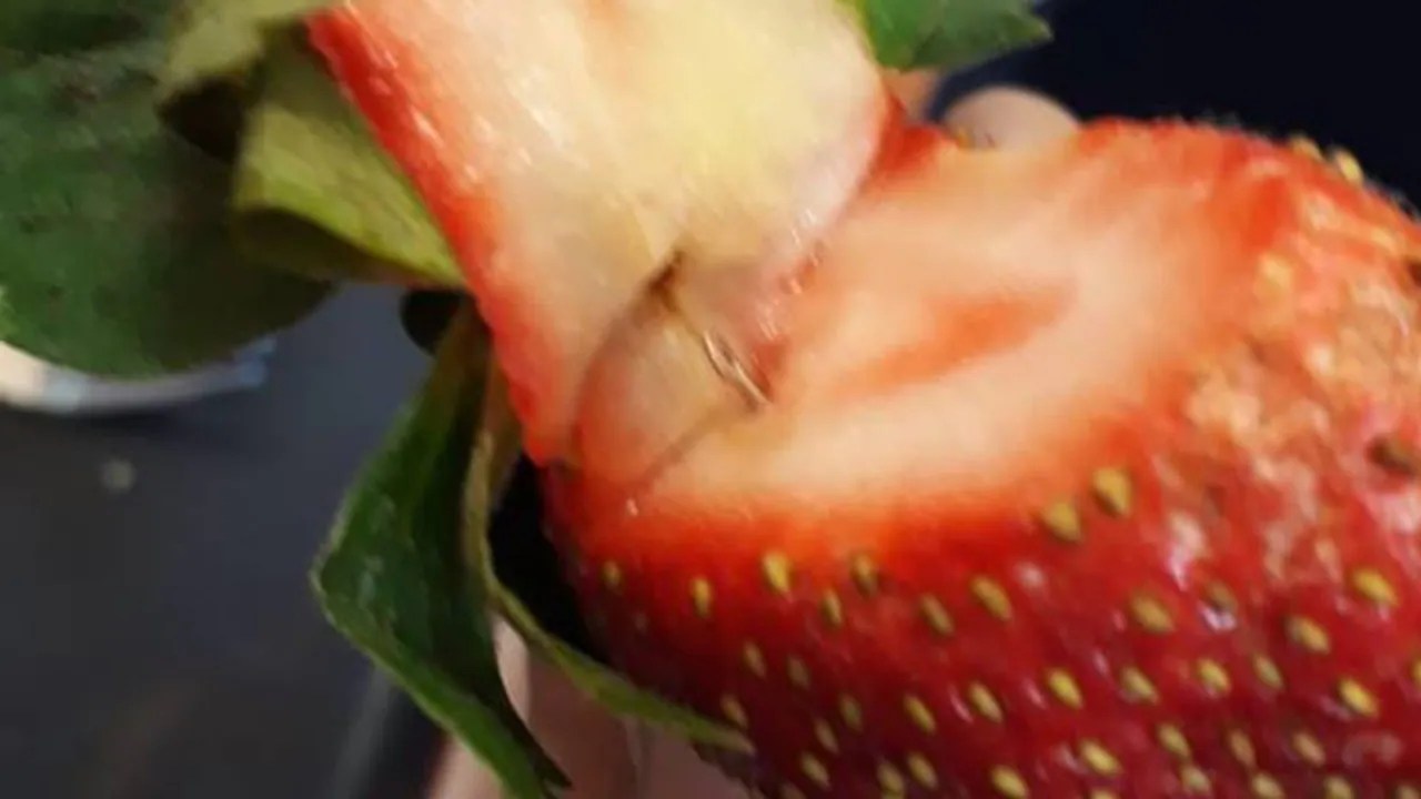 Strawberry recall ‘Heartbreaking’ result of sabotage Adelaide Now