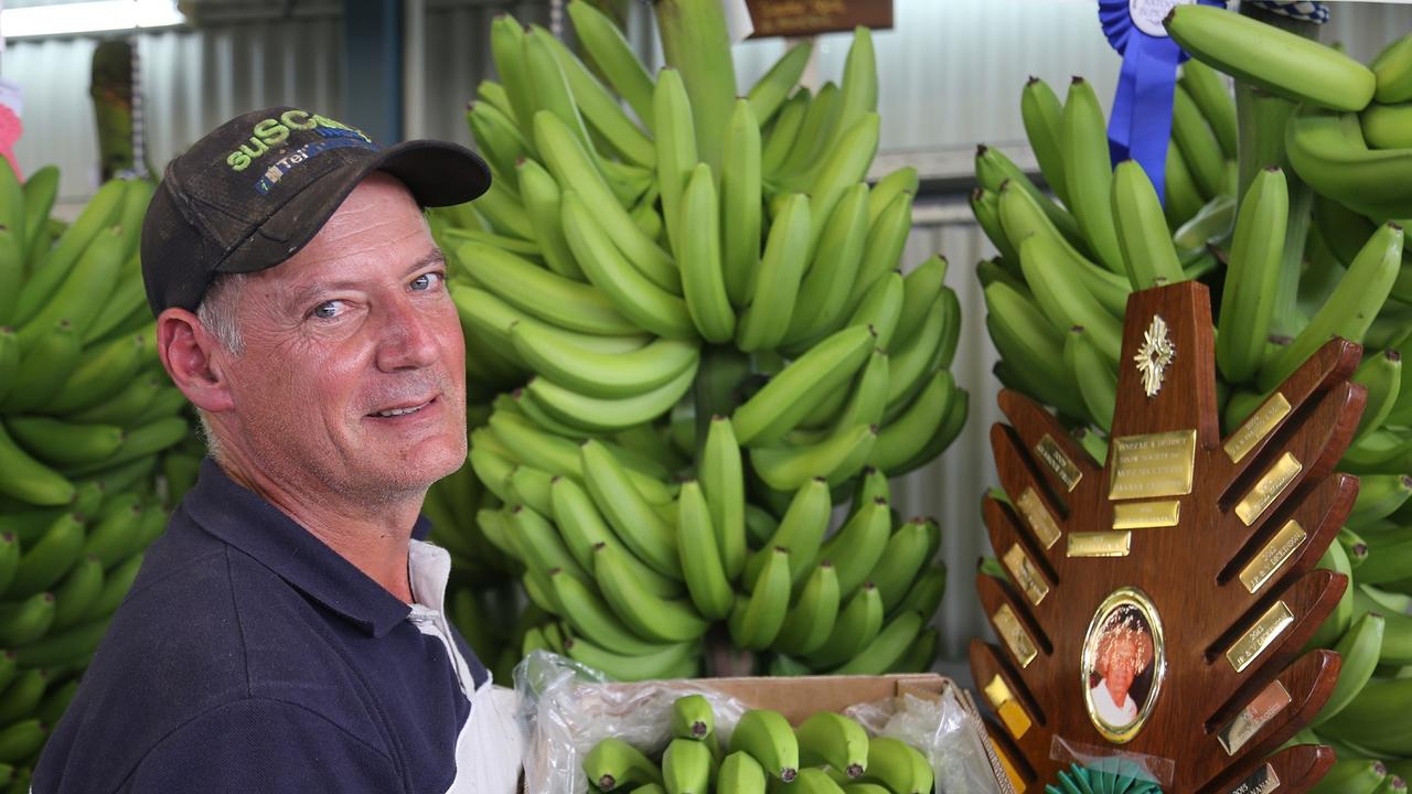 Cassowary Coast banana farm, Innisfail Show results, Innisfail Show