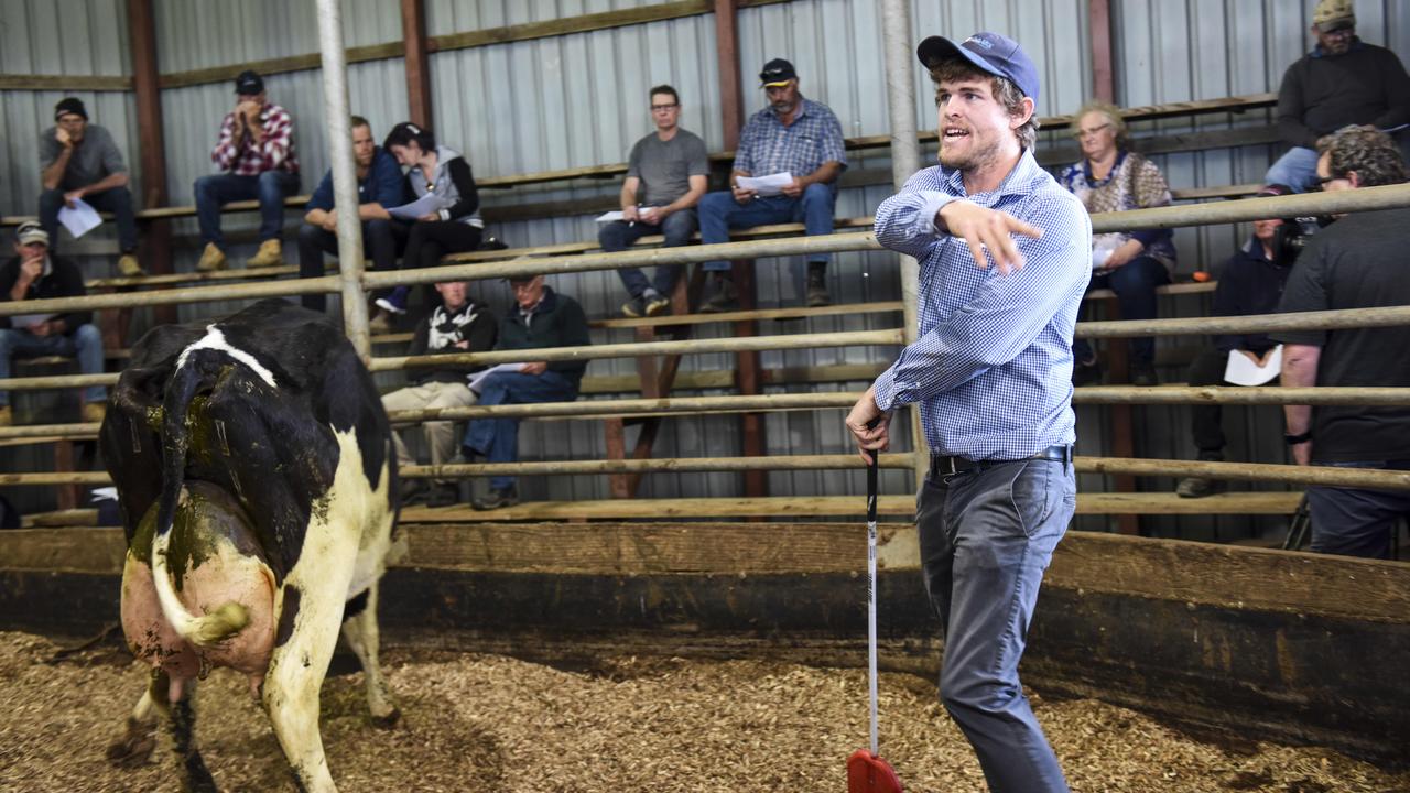 Holstein and Swiss Brown dispersal sells to good competition in