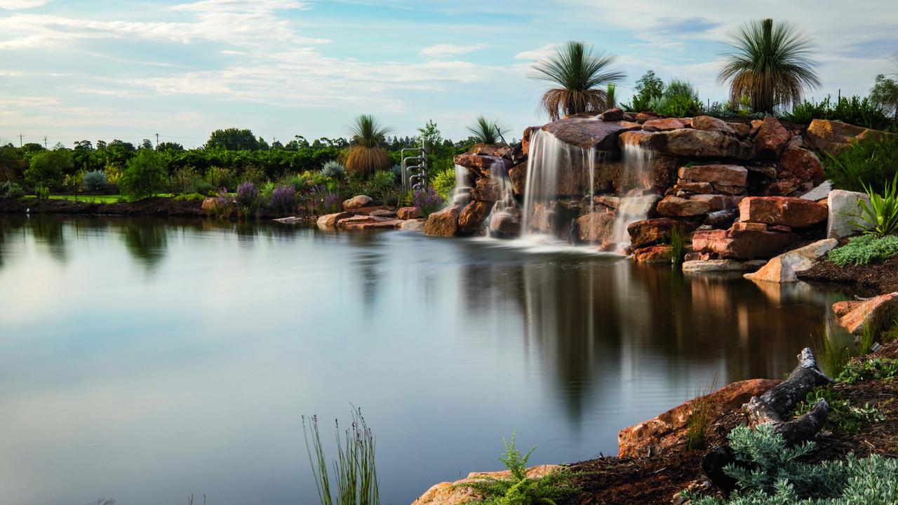 Emeri De Bortoli’s garden, Bilbul, NSW