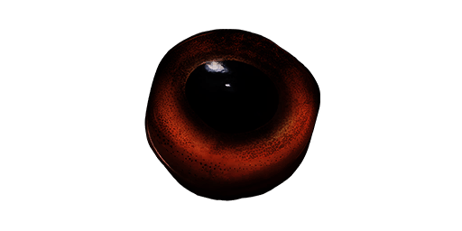 Boar Eye, New World Database
