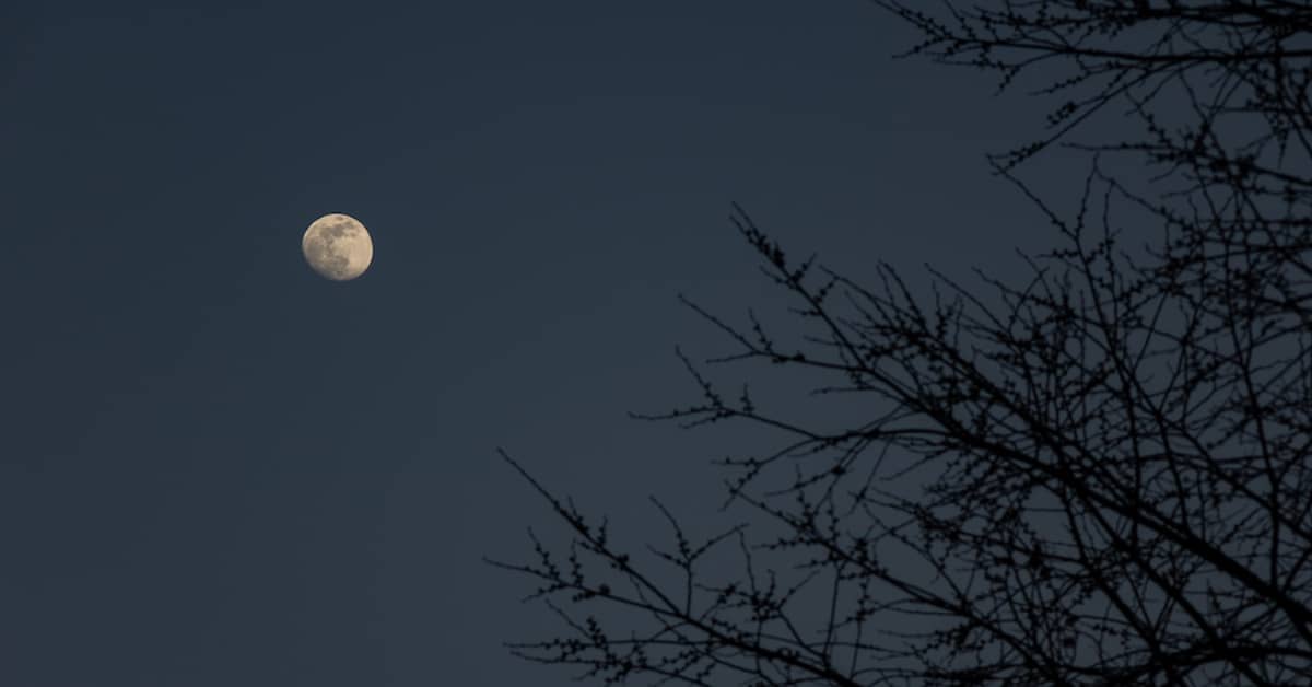What Color Is The Moon?
