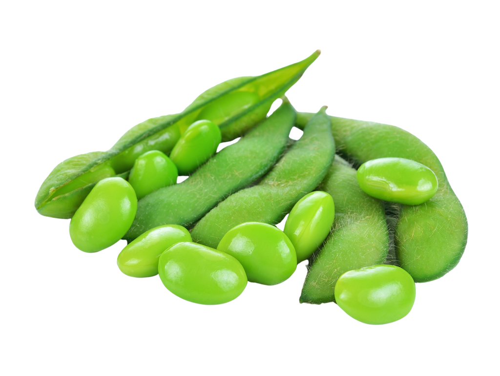 Is Edamame LectinFree? NO