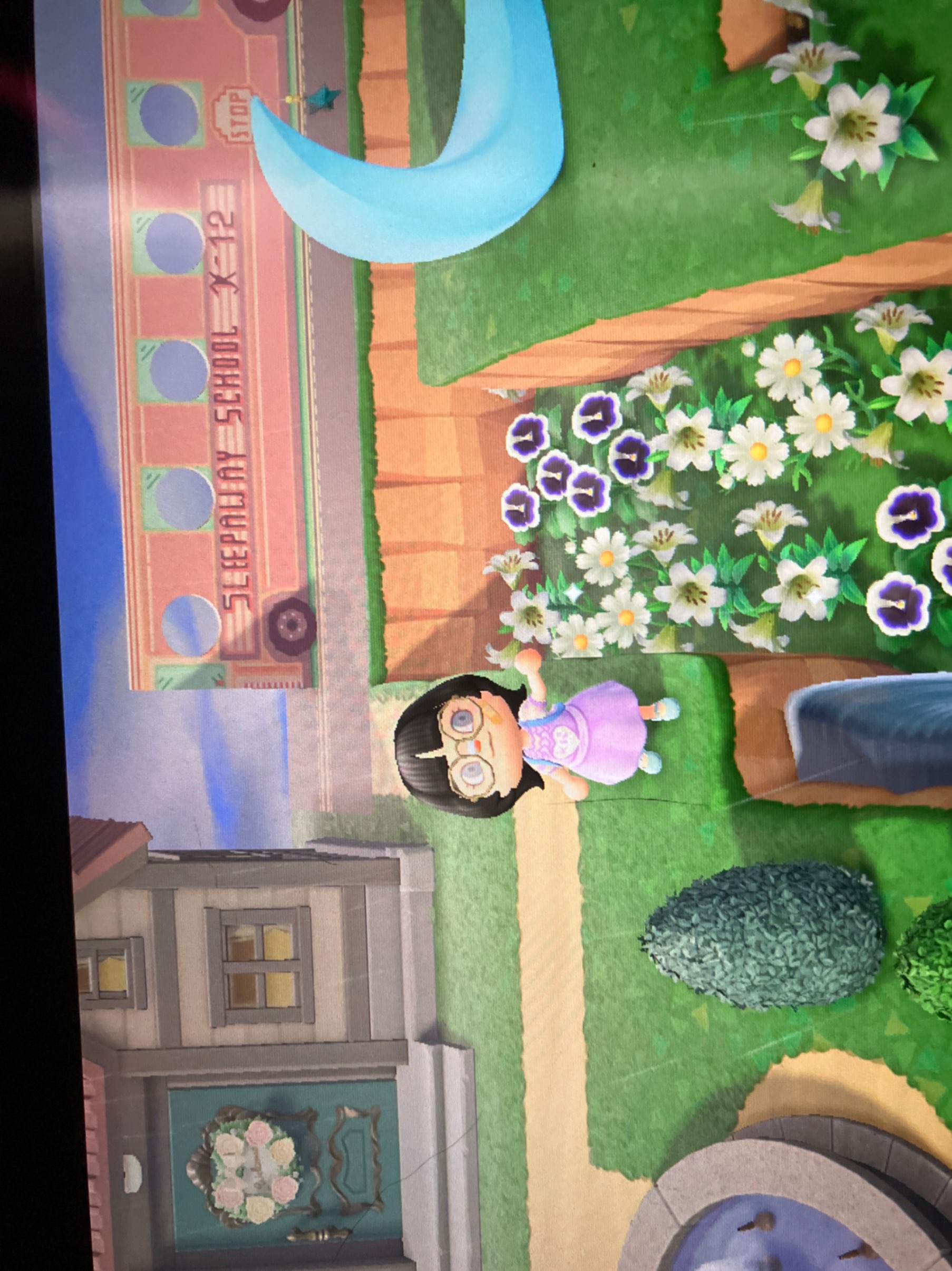 Island tour Trade Animal Crossing New Horizons (ACNH) (ACNH) Items