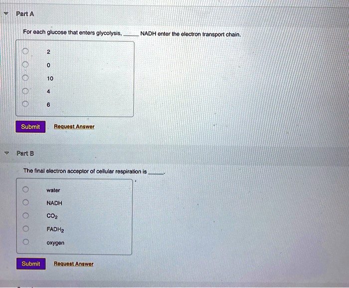 Solved: Pant For Each Glucose That Enters Glycolysis, Nadh Enter Ihe Eloctron Transport Chain. Submit Roquost Answer Part B The Final Olectron Accepior Of Collular Resplralion Wwdior Nadh Co? Fadh2 Oxygon Submit