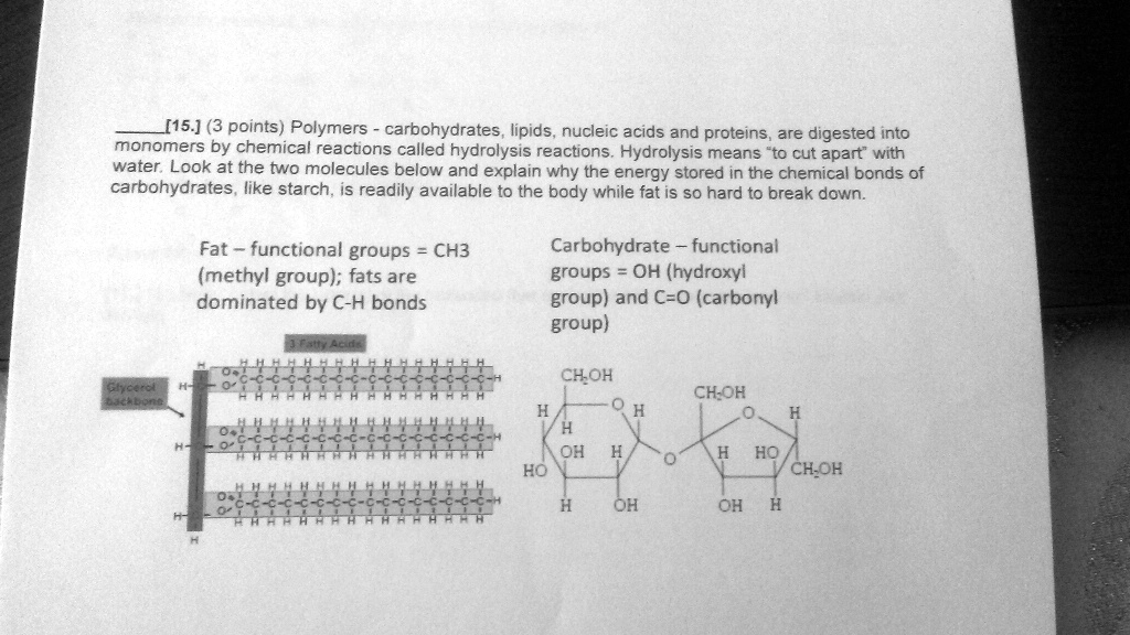 SOLVED I15.] (3 points) Polymers carbohydrates lipids nucleic acids