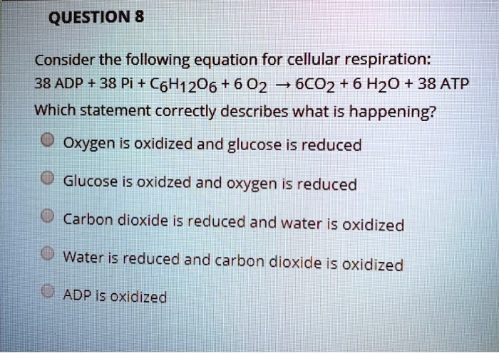 Solved: Question 8 Consider The Following Equation For Cellular Respiration: 38 Adp + 38 Pi + C6H1206 + 6 02 6Co2 + 6 H2O + 38 Atp Which Statement Correctly Describes What