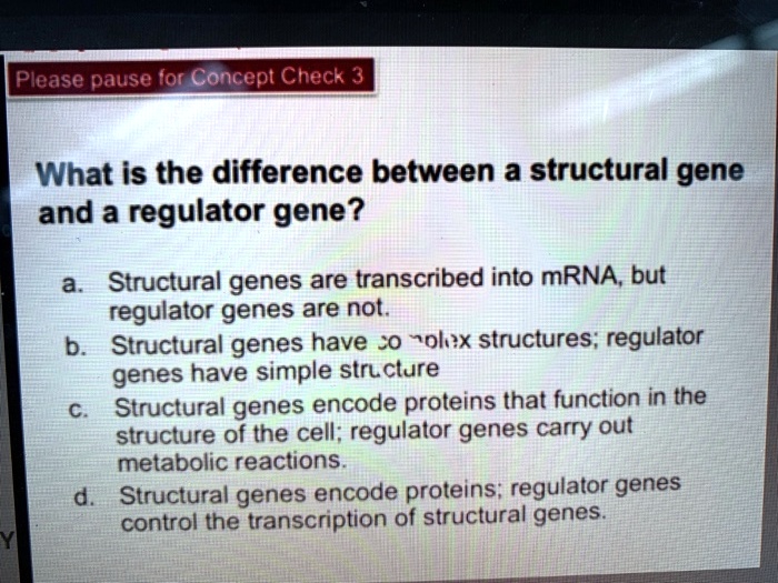 SOLVED Please pause for Concept Check 3. What is the difference between a structural gene and a