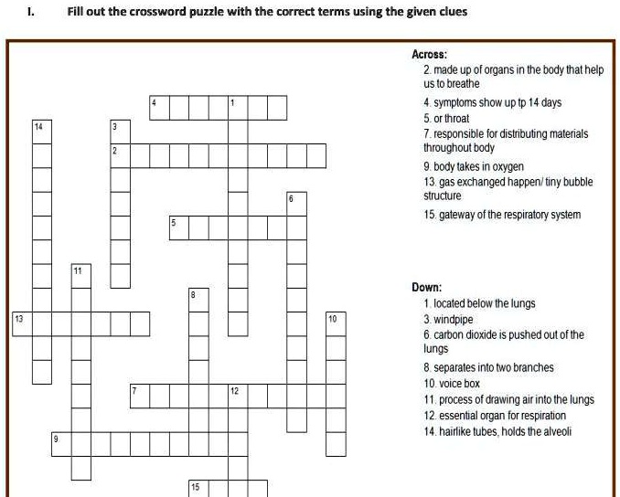 SOLVED Fill out the crossword puzzle with the correct terms using the