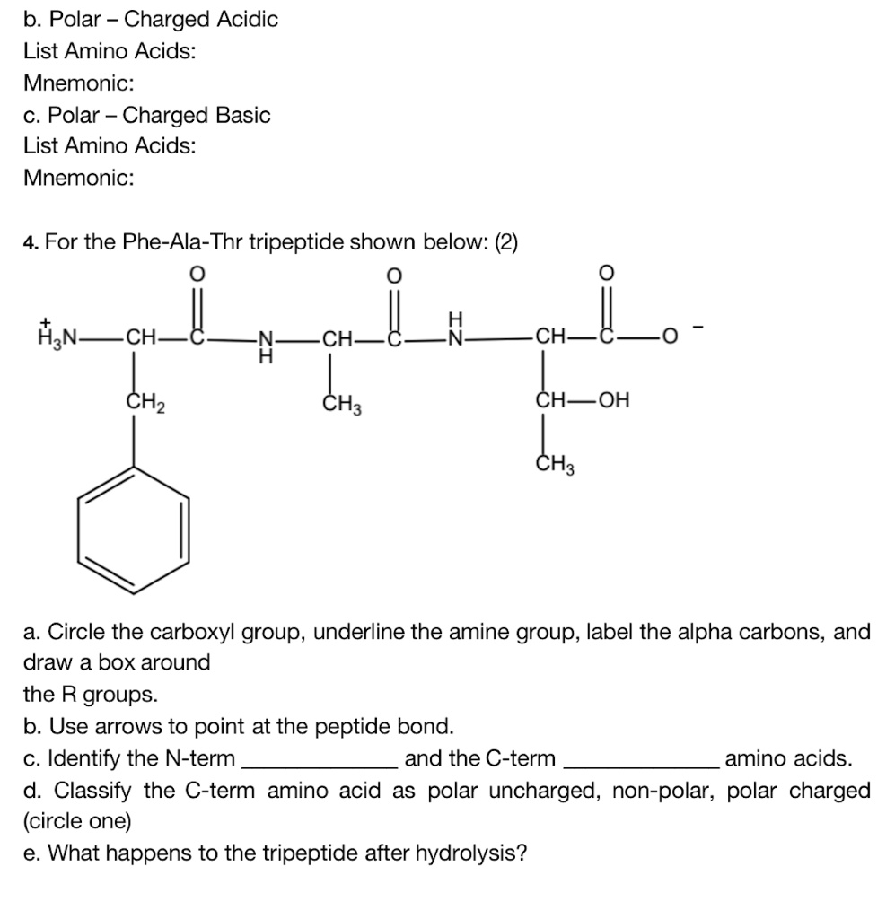 SOLVED b. Polar Charged Acidic List Amino Acids Mnemonic c. Polar