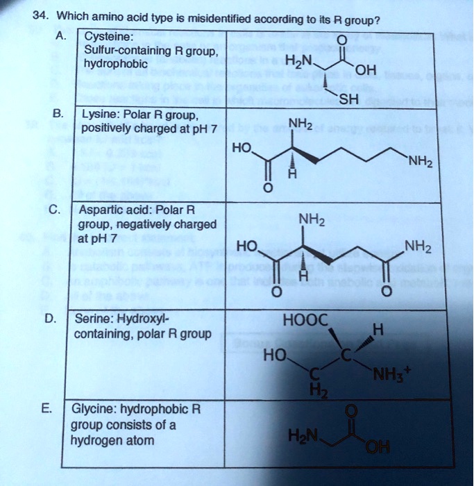 SOLVED Which amino acid type is misidentified according to its R group