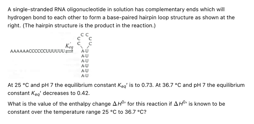 SOLVED A singlestranded RNA oligonucleotide in solution has