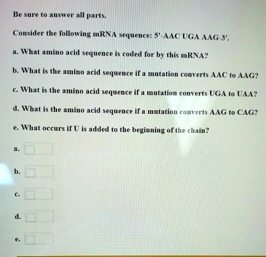 SOLVED Consider the following mRNA sequence 5'AAC UGA AAG 3'. What
