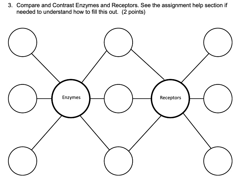 Solved: Compare And Contrast Enzymes And Receptors. See The Assignment Help Section If Needed To Understand How To Fill This Out. (2 Points) Enzymes Receptors