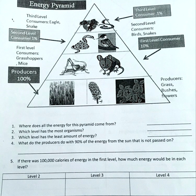SOLVED 'Question 1 Where does all the energy for this pyramid come