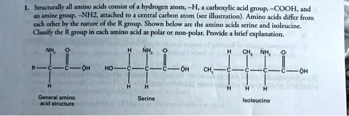 Solved: Structurally All Amino Acids Consist Of A Hydrogen Hrom H, Cuboxylic Acid Groups Cooh, And Amine Group Nh2, Attached T0 Ccntral Carbon Atom (Sce Illustration) . Amino Acids Differ From Cach