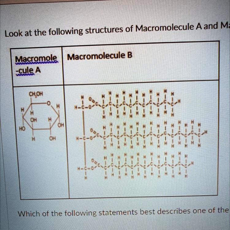SOLVED: 'What macromolecules are a and b? answer choices: 1) lipid 2