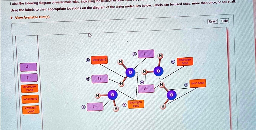 Label the following diagram of water molecules, indicating the loca