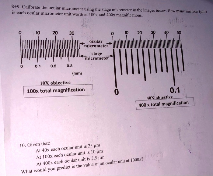 SOLVED 8+9. Calibrate the ocular micrometer using the stage micronieter in thc images below
