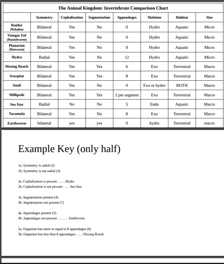SOLVED The Animal Kingdom Invertebrate Comparison Chart Symmetry