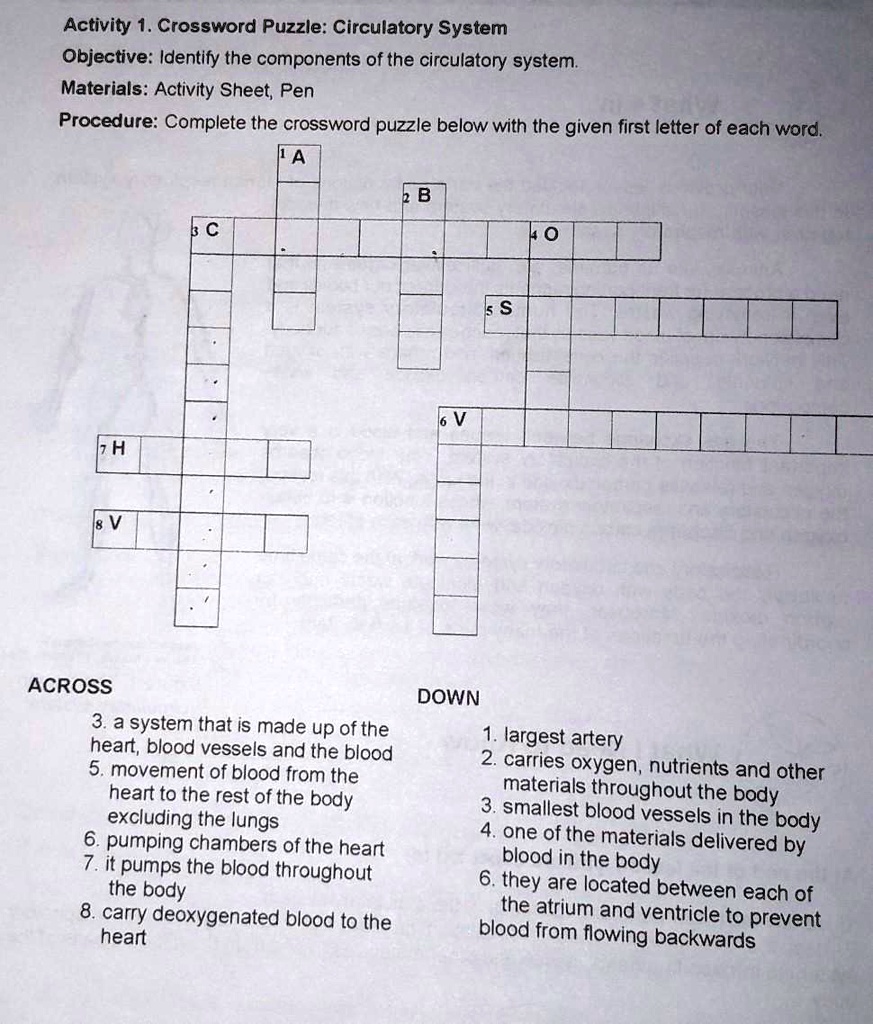 SOLVED Activity 1. Crossword Puzzle Circulatory System Objective